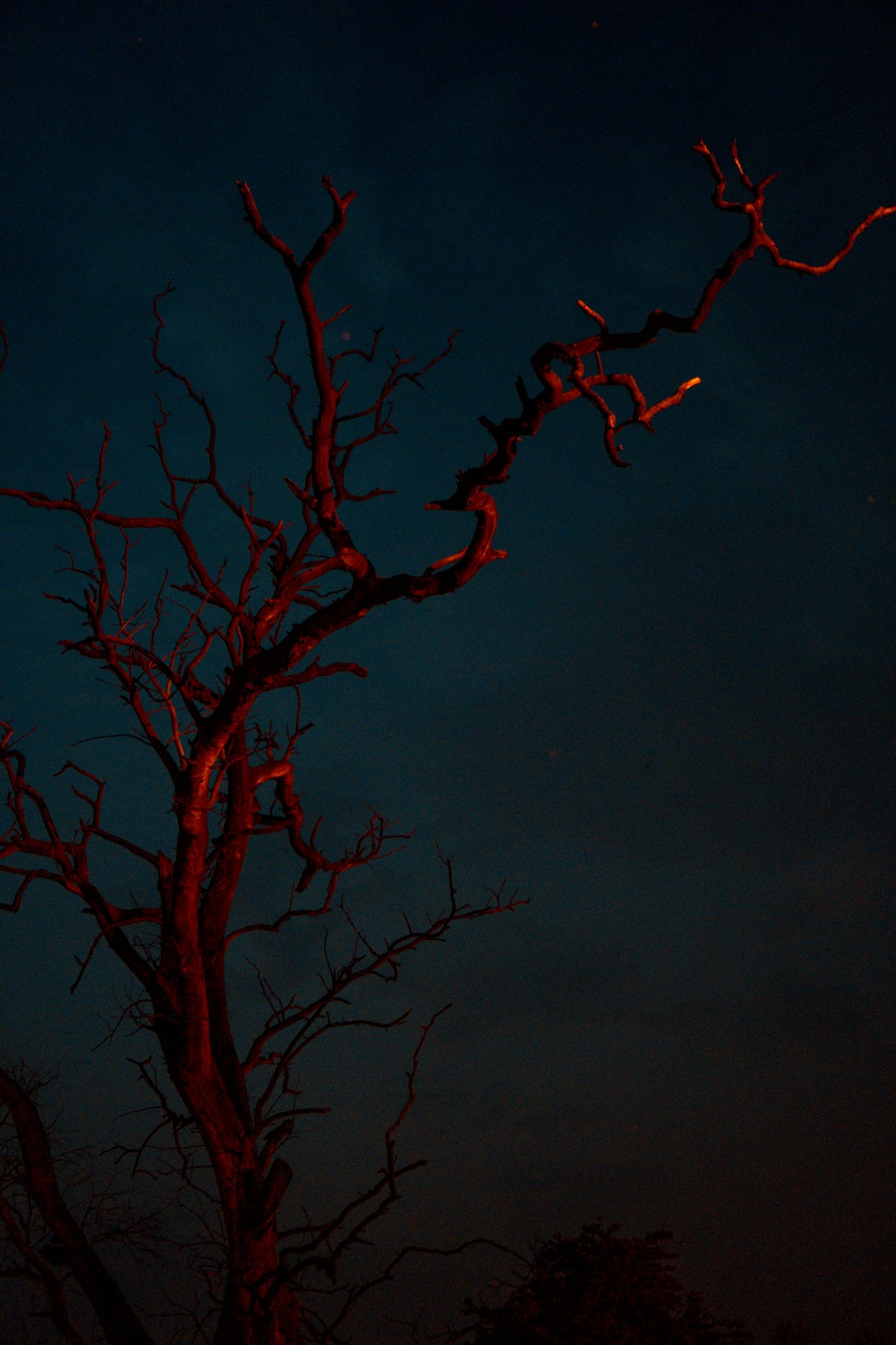 The Role of Atmosphere in Gothic Storytelling